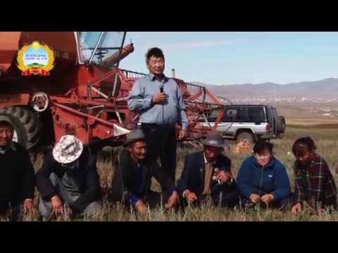 Видео: Мандал сум Зүүнхараа САА-н 90 жил