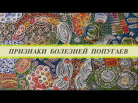 Видео: Болезни попугаев. Жако трясёт головой, дергает крыльями, ласковый, поджимает лапу, глаз запавший.