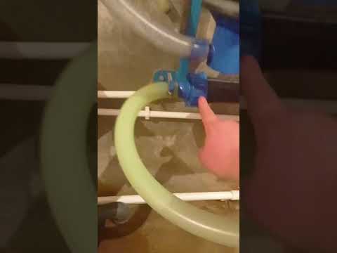 Видео: Молокопровод в бюджетном коровнике как он устроен #молоко #коровник #сельскоехозяйство