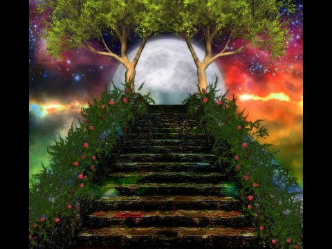 Видео: Хьехам РАЙ.