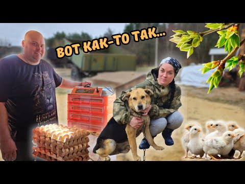 Видео: Весна - время планов и проектов🥰🌞🌿 ВЫПУСК 15