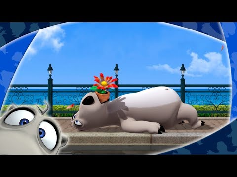 Видео: БЕРНАРД: Цветок (HD)