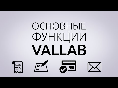 Видео: ОСНОВНЫЕ ФУНКЦИИ касс Vallab