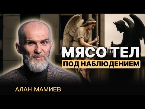 Видео: Мясо тел под наблюдением...