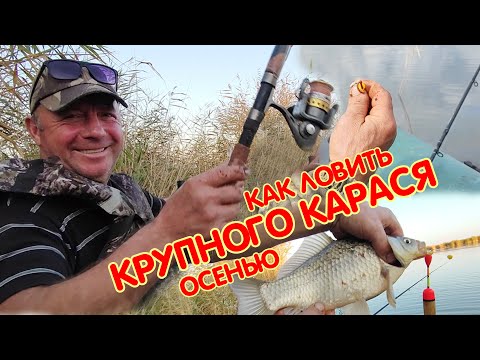 Видео: Рыбалка на крупного карася осенью. Озеро. Поплавок.