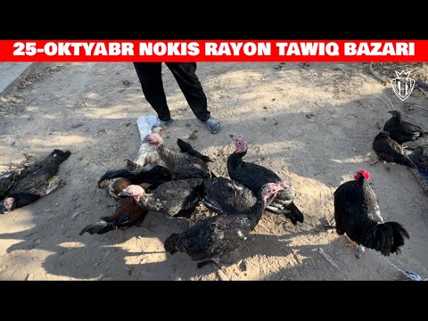 Видео: 25-ОКТЯБРЯ НОКИС РАЙОН ТАУЫК БАЗАРЫ 