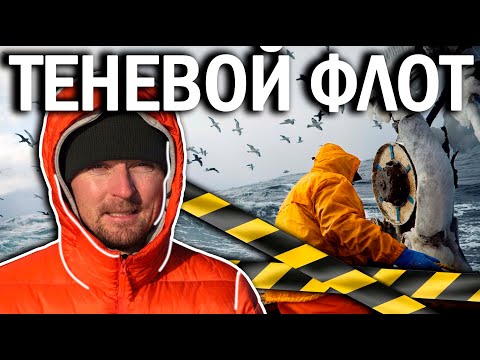 Видео: СУДНО ЗАТОНУЛО | ТЕНЕВОЙ ФЛОТ | ЛИЧНЫЙ ОПЫТ РАБОТЫ