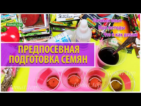 Видео: Предпосевная подготовка семян томатов.  Личный опыт.  Мои методы.  Что и как делаю