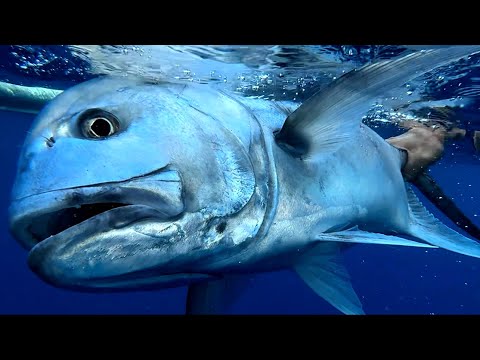 Видео: Монстр  GT — мечта сбылась!┃Рыбалка на о. Нуса Пенида