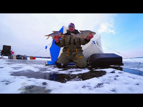 Видео: НАКОНЕЦ-ТО Я ЕГО ПОЙМАЛ. ЗИМНЯЯ РЫБАЛКА НА ВИЛЕЙСКОМ ВОДОХРАНИЛИЩЕ.ЗАКРЫТИЕ ТВЕРДОЙ ВОДЫ