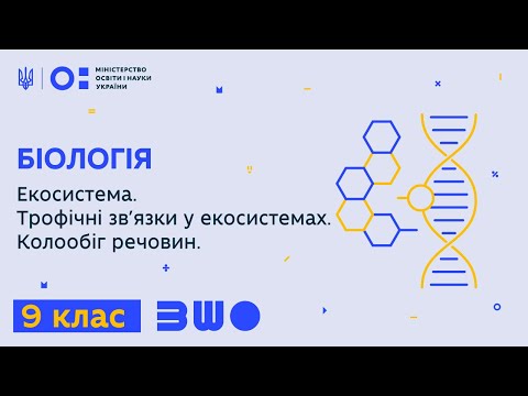 Видео: 9 клас. Біологія. Екосистема. Трофічні зв’язки у екосистемах. Колообіг речовин.