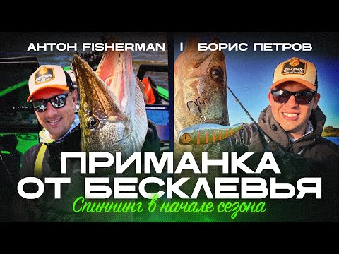 Видео: Секреты гидов: как заставить клевать даже пассивную рыбу