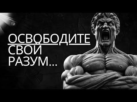 Видео: 10 стоических уроков о психологической стойкости   Стоицизм на практике