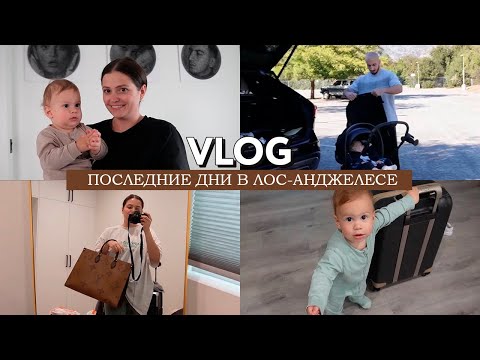 Видео: VLOG // Будни в ЛА // Гуляем в парке // Собираемся домой