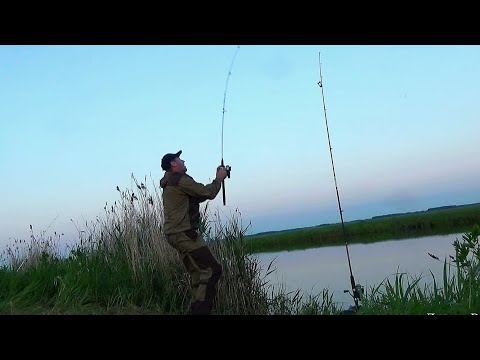 Видео: МЫ НЕ ОЖИДАЛИ ТАКОГО КЛЕВА В ЖАРУ! РЫБАЛКА НА САЗАНА! Рыбалка на донки,Рыбалка 2024