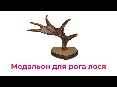 Видео: Медальон для рога лося.#медальон#рога#лось Elk horn medallion.#Medallion#horns#elk