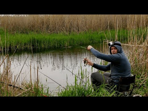 Видео: РЫБАЛКА НА МАЛОЙ РЕКЕ. ЛОВЛЯ КАРАСЯ НА ПОПЛАВОК И МОРМЫШКУ