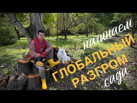 Видео: ПОМЕНЯЛИ ПИТЕР НА СЕЛО #51. Большая чистка сада: убираем старое, сажаем новое!