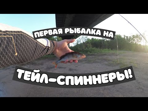 Видео: Джиг с берега - всегда с рыбой. Первая рыбалка на тейл-спиннеры!