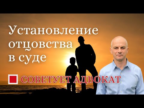 Видео: Установление отцовства в суде
