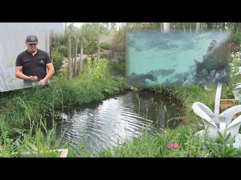 Видео: УТРК НАРЫН:ИШКЕРЛИККЕ ЖОЛ АЧКАН БАЛЫК ЧАРБА