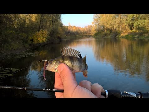 Видео: Силиконовая приманка Fishup Tiny 1,5" - поиск рыбы на большом заливе