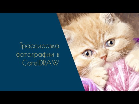 Видео: CorelDRAW Tutorial - трассировка фотографии. #coreldraw #coreldrawtutorial #трассировка #tracing