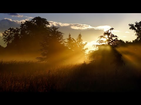 Видео: Артикуляционная молитва 22 апреля 2020