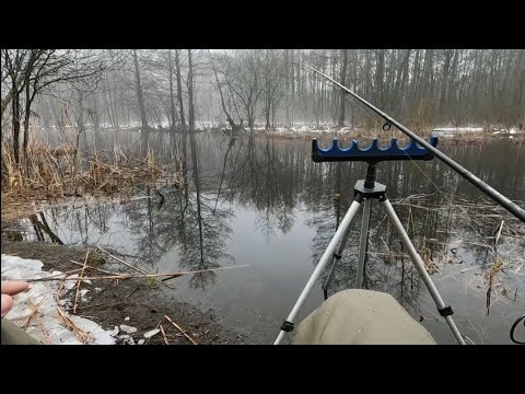 Видео: ПЛОТВА В ФЕВРАЛЕ. С ФИДЕРОМ ЗА ПЛОТВОЙ В СЕРЕДИНЕ ФЕВРАЛЯ