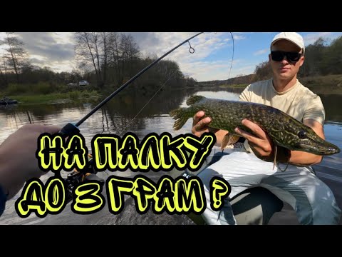 Видео:  2 дні на річці — клювало так, що не встигали закидати!