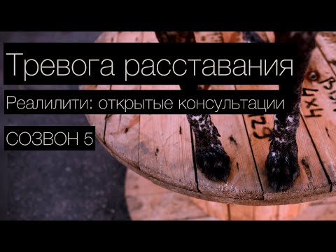 Видео: КЕННИ #5