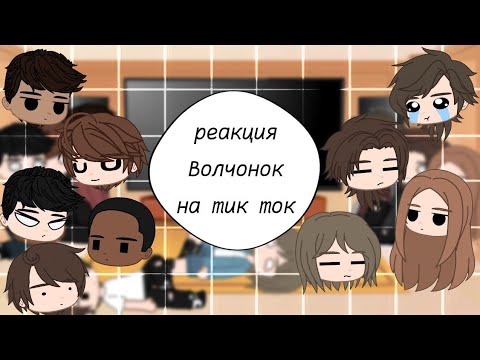 Видео: реакция Волчонка на тик ток || #2 || Волчонок |×