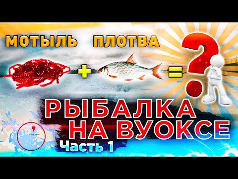 Видео: Рыбалка зимой на Вуоксе  // Плотва на мотыля // Часть 1