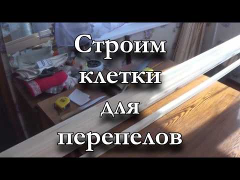 Видео: Клетки для перепелов.