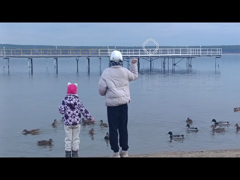 Видео: УЕХАЛИ НА ДЕНЬ РОЖДЕНИЯ НА БАЗУ ОТДЫХА ЛЕСНОЕ ПОМЕСТЬЕ 