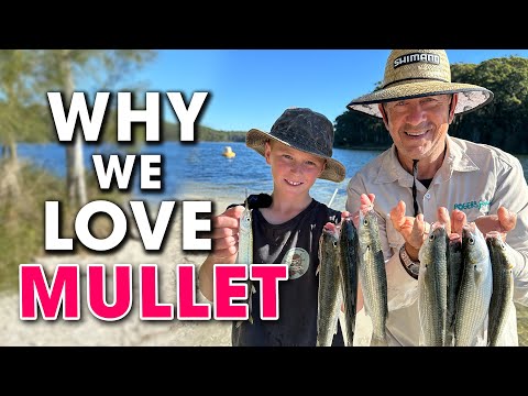 Видео: Как поймать кефаль на НАЖИВКУ и еду: ПРОСТО И ЛЕГКО ✅ Переходите на более крупную рыбу! 🐟🐟🐟