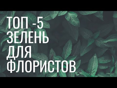 Видео: ТОП 5 зелени для флористов // школа флористики online