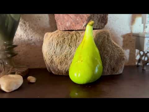 Видео: Ficus Carica. Figs. Инжир Ronde de Bordeaux, Cul Noir. Мал золотник да дорог! Видео от 30 августа.