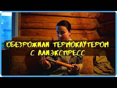 Видео: Обезрожили козлят термокаутером с алиэкспресс.