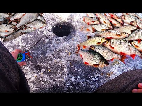 Видео: Рыбалка на покаток с кормушкой, ловля плотвы со льда в глухозимье.