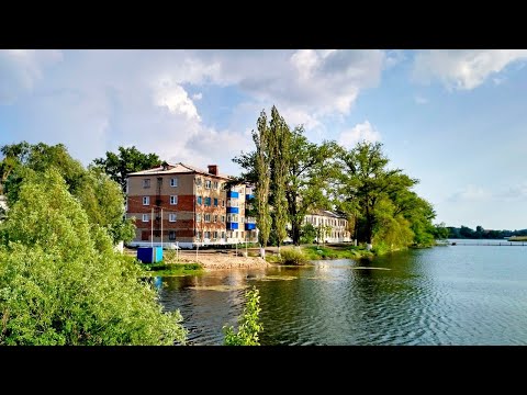 Видео: Грибановка летняя. Фотофильм. 2021