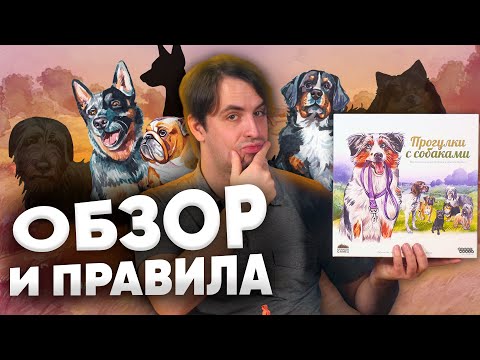 Видео: Прогулки с собаками: Обзор и правила настольной игры. КТО ХОРОШИЙ МАЛЬЧИК?!