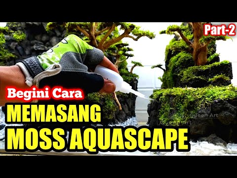 Видео: КАК СДЕЛАТЬ ВОДОПАД АКВАСКЕЙП - Посадка плакучего мха