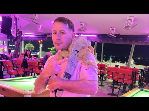 Видео: Потерялись в барах Pattaya | Влог с Кевином