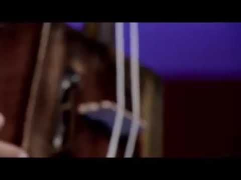 Видео: Говийн домог УСК "Бодол" Шинэцог-Гени