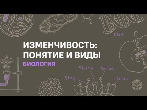 Видео: Тема: Изменчивость: понятие и виды