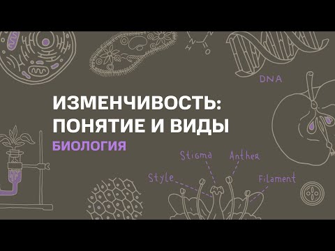 Видео: Тема: Изменчивость: понятие и виды