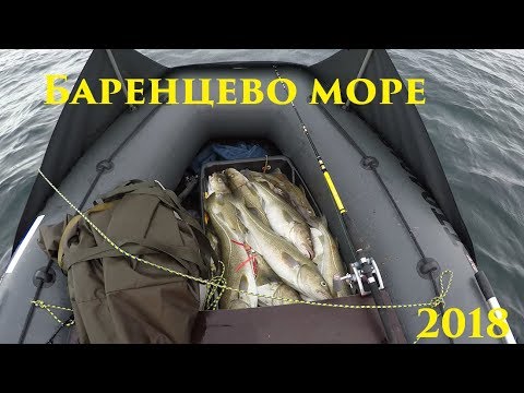 Видео: Весенний лов трески на Баренцевом море / Spring cod fishing in the Barents sea