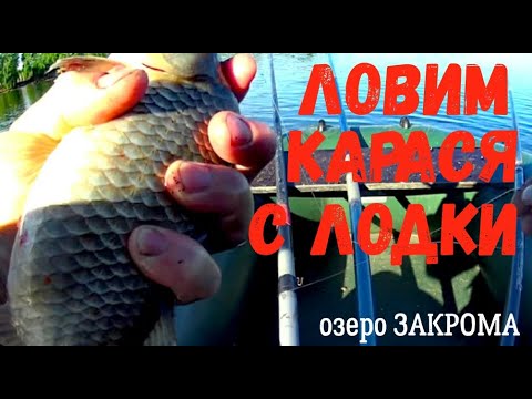 Видео: Рыба клюёт, только подавай! Ловим карася с лодки. Озеро Закрома.