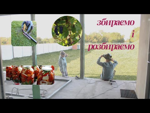 Видео: КВІТИ-СВІТИЛЬНИКИ/ Каркас Воріт і Калітки/ Збагачуємо киснем ставок/ СОЛИМО ПОМІДОРИ